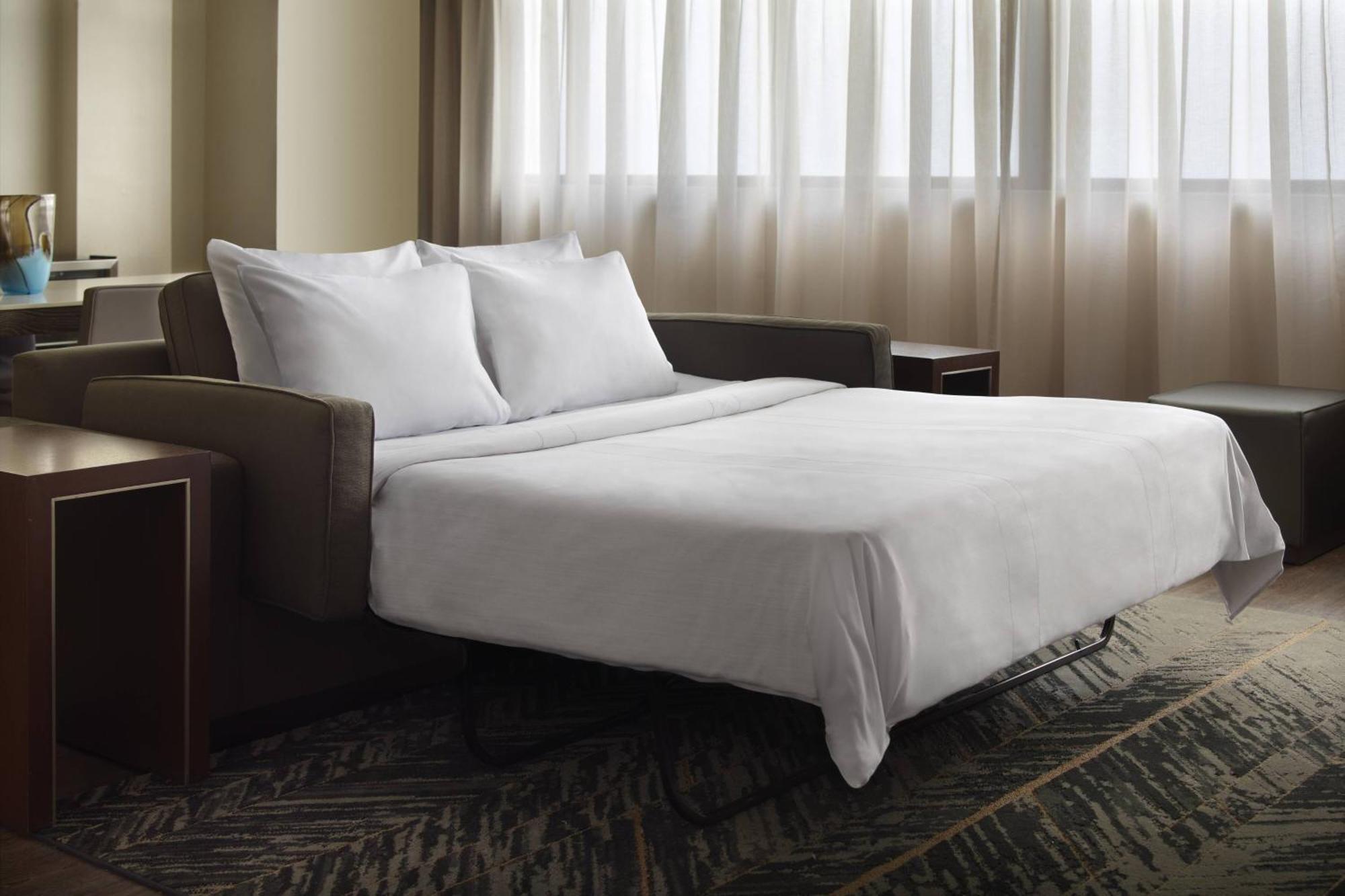 Deluxe King Suite 1 Bedroom Executive Suite 1 King