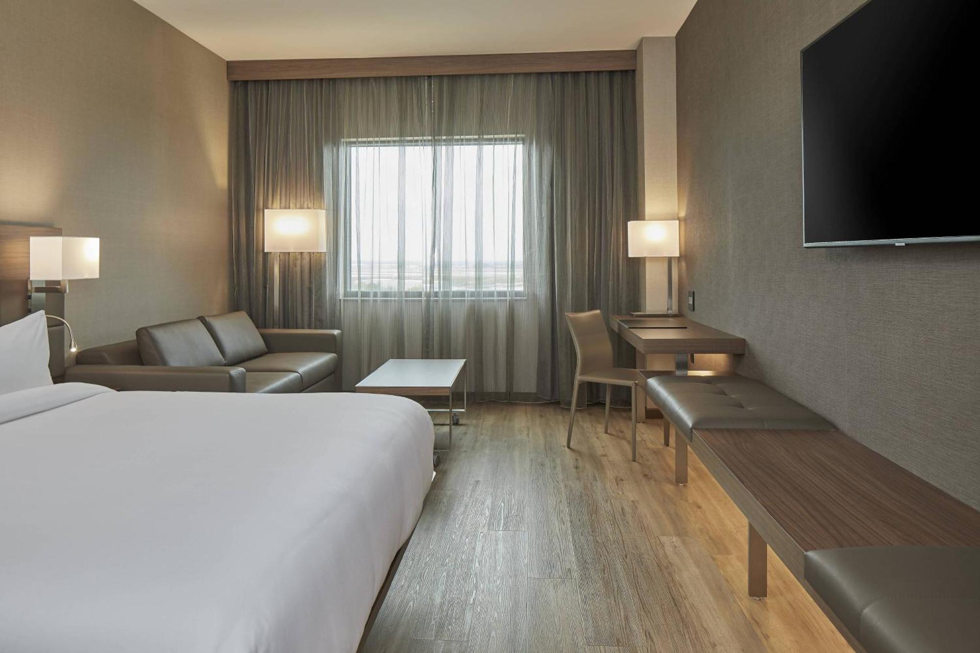 Habitación con cama extragrande y sofá cama